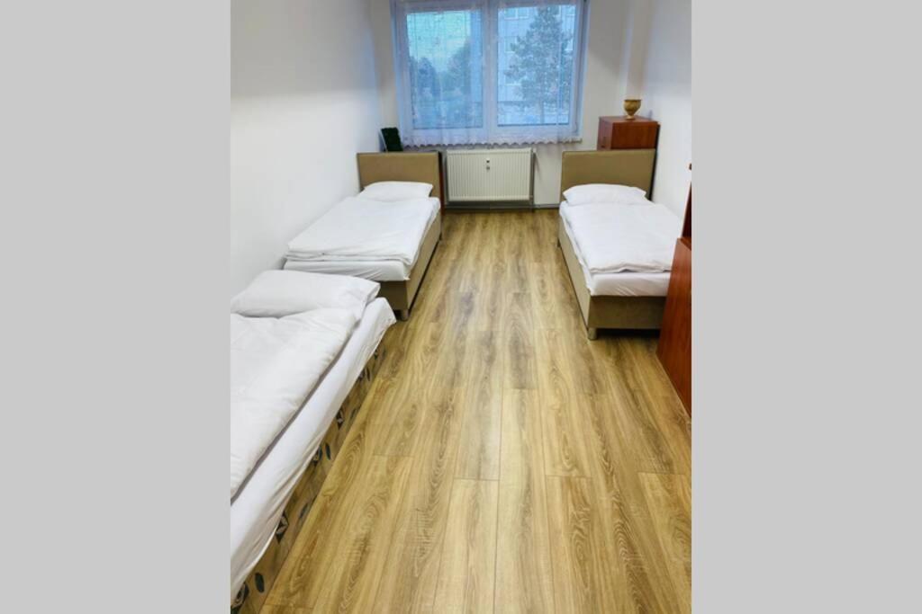 Apartman Solax, Ucnovska 8, Kosice Saca Bagian luar foto